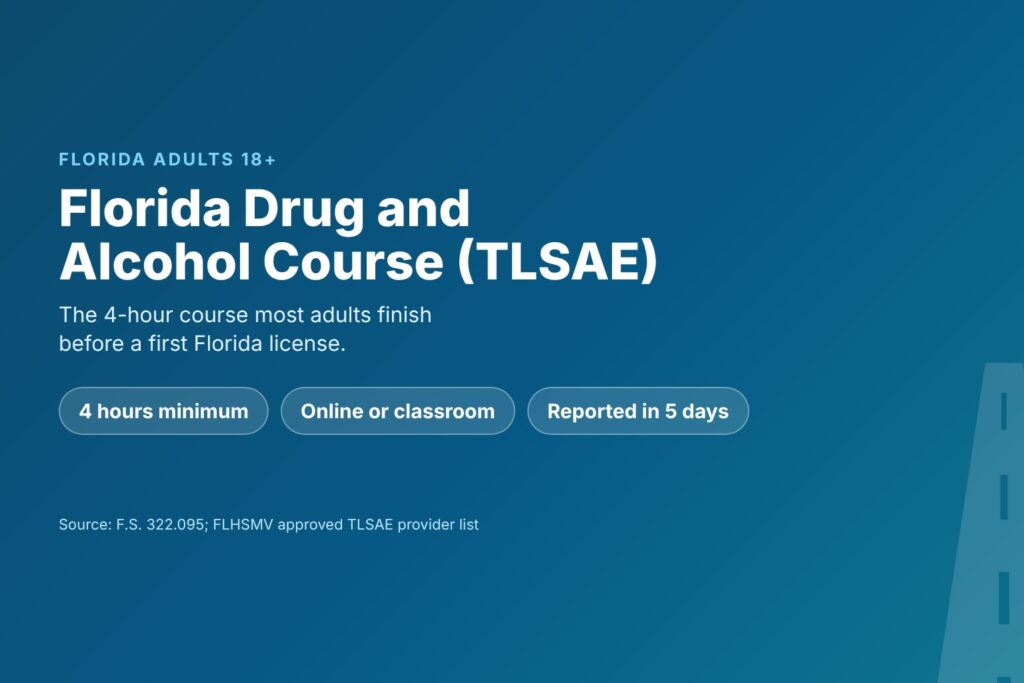 Blog Articles 4 Florida drug and alcohol course (TLSAE) guide for adults 18 and older