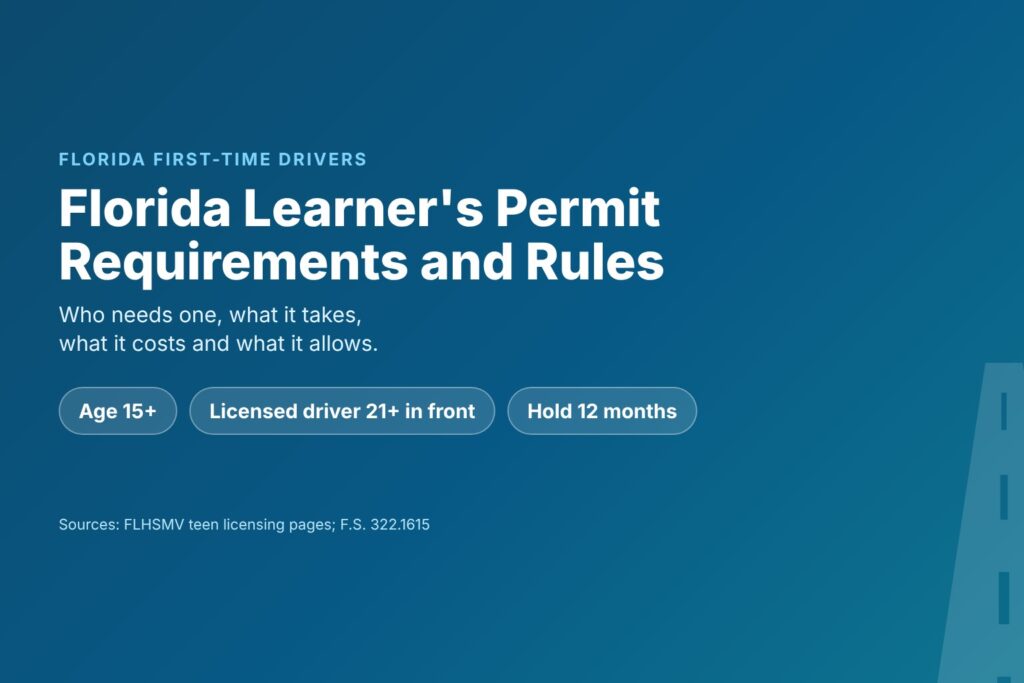 Blog Articles 8 Florida learner's permit guide: requirements, costs and driving rules