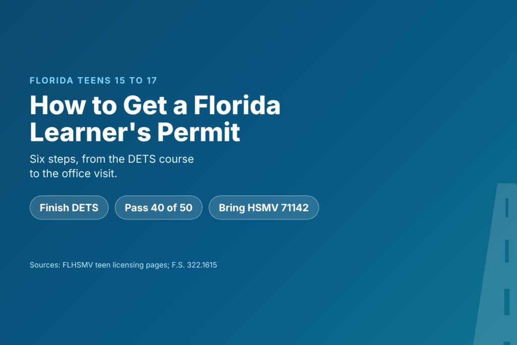 Blog Articles 4 How to get a Florida learner's permit in six steps