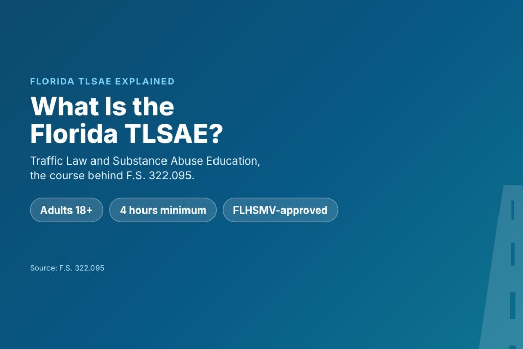 Blog Articles 1 What the Florida TLSAE is: Traffic Law and Substance Abuse Education explained