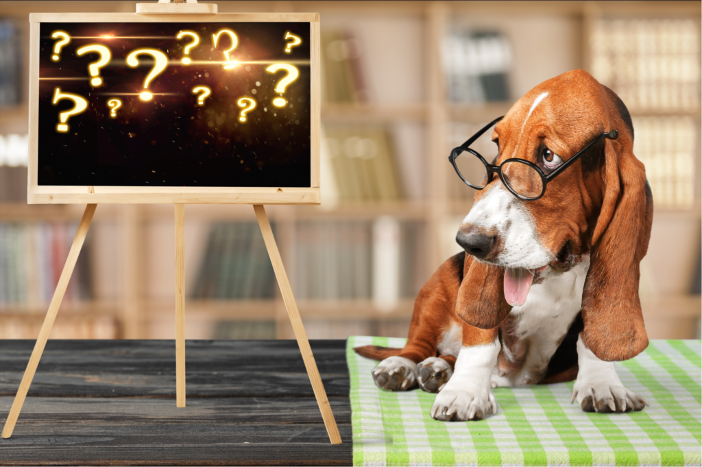 What is Traffic School? 2 When is traffic school a good option